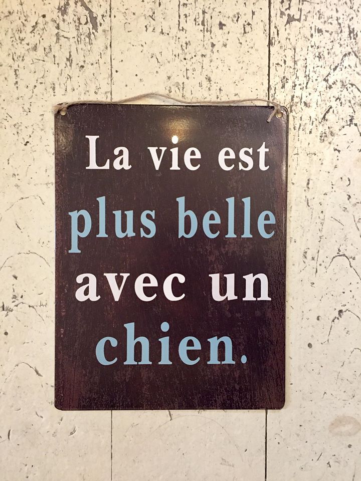 Affiche La Vie Est Plus Belle Avec Un Chien
