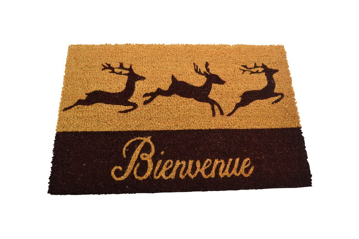 Tapis Bienvenue