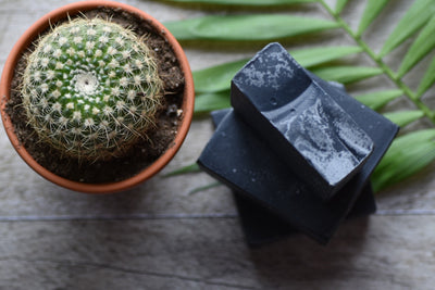Savon détoxifiant ( charbon activé)