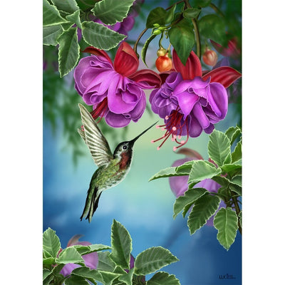 Drapeau Colibris 28x40